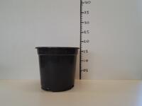 Zeer mooie partij zwarte 3,2 liter / 19 cm potten