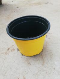 Nieuwe gele Teku container (potten) 