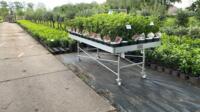 Aluminium kweektafels / Verkooptafels voor tuincentra, kwekerij of hoveniers