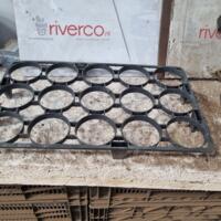 LAATSTE meermalige trays / tray voor 10 – 10,5 cm pots / pottenhandel / machinehandel 