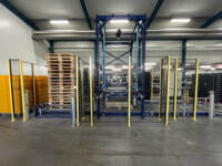 Koat - Plaatpalletiseerder + pallet-afvoerbaan + pallet bunker - 