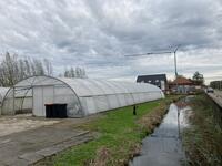 Rovero tunnels (3 stuks)