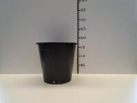 GLOEDNIEUWE partij zwarte 3 liter / 19 cm potten