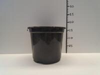 Grote partij mooie zwarte 3 liter / 19 cm potten