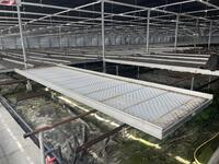 Aluminium rolcontainers incl. tempex bodem en bevloeiingsmat | Afmetingen: 6050x1630 mm