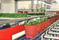 Urbinati transplanter voor potten