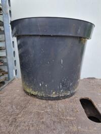 Gebruikte pot 30cm, C12