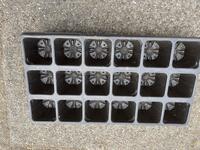 Boomtrays Modiform 18 gaats