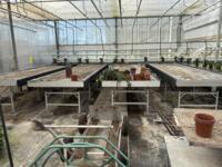 Allu plant-tafels