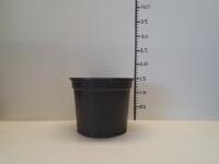 Grote partij mooie zwarte 3 liter / 19 cm Desch potten