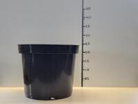 Zeer mooie partij zwarte 12 liter / 30 cm Kreuwel KP potten
