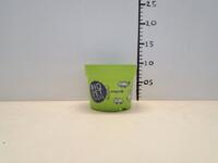 GLOEDNIEUWE partij groene 0,73 liter / 12 cm Thomsen potten