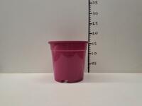 GLOEDNIEUWE partij paarse 2,3 liter / 17 cm Kreuwel KC potten