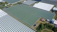 Venlo kas 8,00 m 25.922 m² | Tralie 8,00 m - Vakmaat 4,50 m - Poothoogte 4,70 m