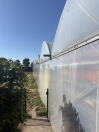 Rovero foliekas met tralie 2000 m2