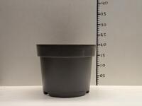 Grote partij mooie grijze 7,5 liter / 26 cm van Krimpen - DecoTainer potten