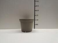 Grote partij mooie mokka 1,05 liter / 14 cm Teku Pppelmann potten