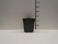 Zeer mooie partij groene 1 liter / 11x11 cm van Krimpen vierkante potten
