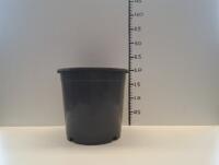 Grote partij mooie grijze 4,7 liter / 21 cm Amazone potten